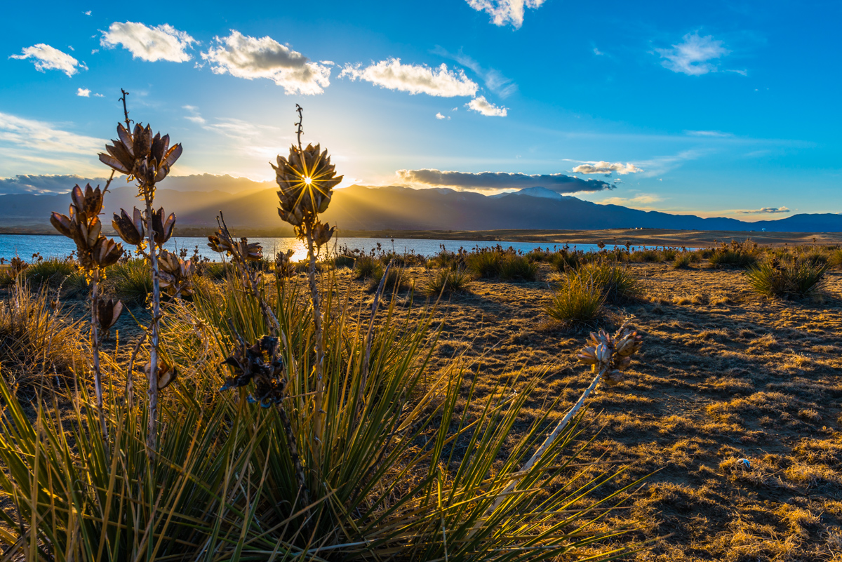 Bluestem Open Space by Matt Payne Bluestem Open Space by Matt Payne