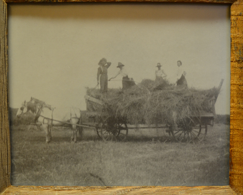 Stewarts Collection Haying Bates Ranch north of Calhan Stewarts Collection Haying Bates Ranch north of Calhan