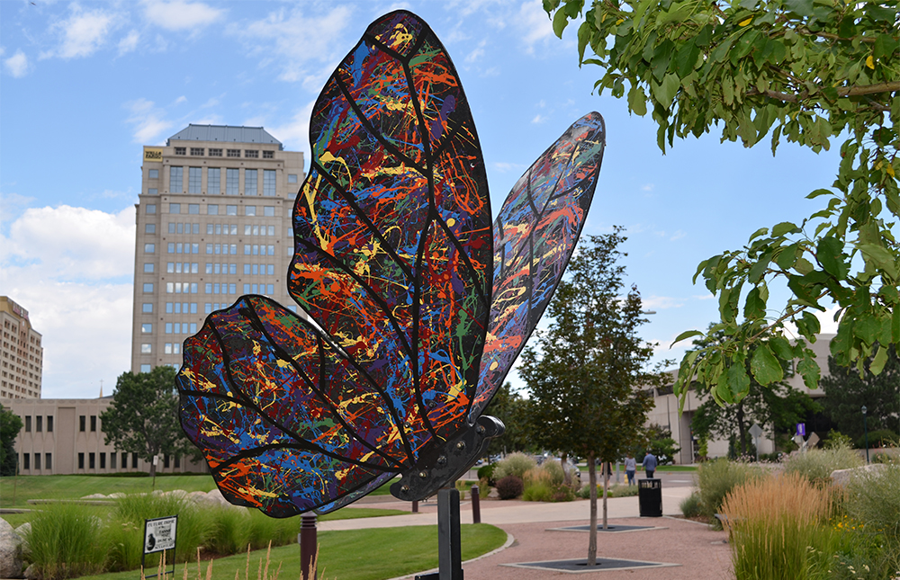 Butterfly Cosmos Serenade Butterfly Cosmos Serenade