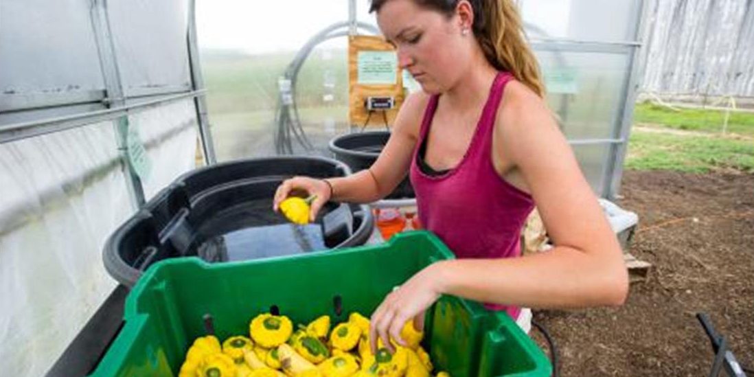 Overview of the Producer Rule El Paso County Colorado