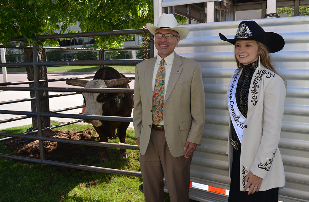 Gonzalez with Link Fair Queen and bull
