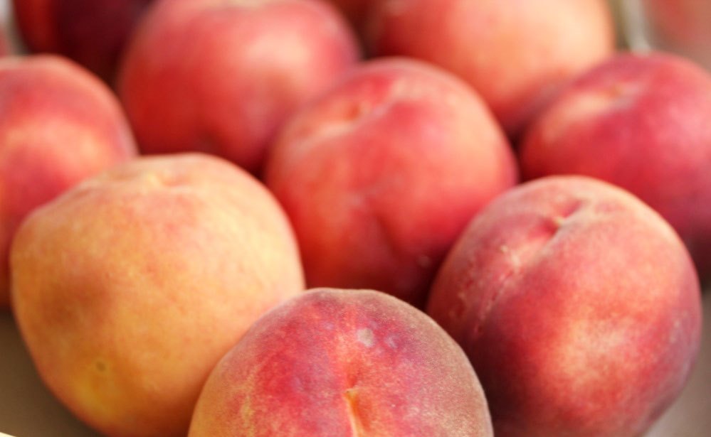 Preserve the Season Peach Class El Paso County Colorado